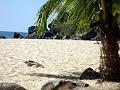 18c - Plage Caraïbe 002